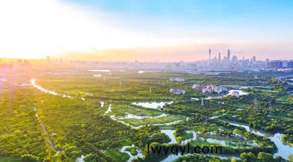 ?爲(wèi)民(min)打(da)造城市(shi)綠(lv)洲(zhou)